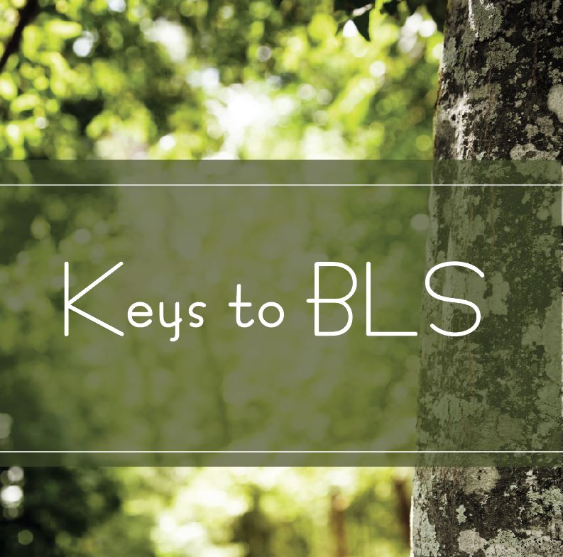 Keys to BLS